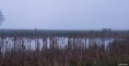 /album/kop-van-overijssel/img-0239-3-jpg/
